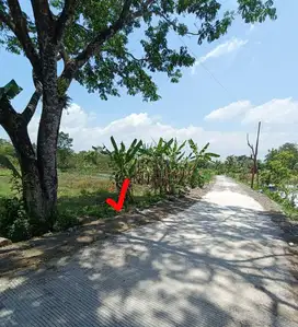 Tanah Strategis View Sawah & Gunung Merapi Area Palagan Ngaglik Sleman