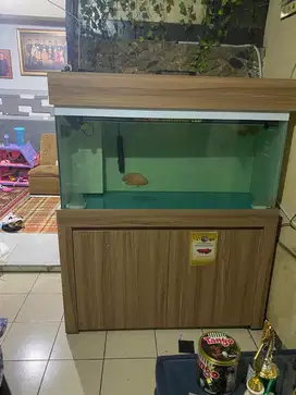 1 set aquarium lengkap