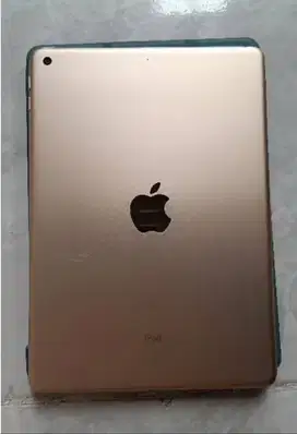 Apple ipad gen5-128Gb Gold
