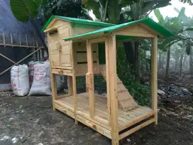 Kandang Premium Ayam Kucing Kelinci