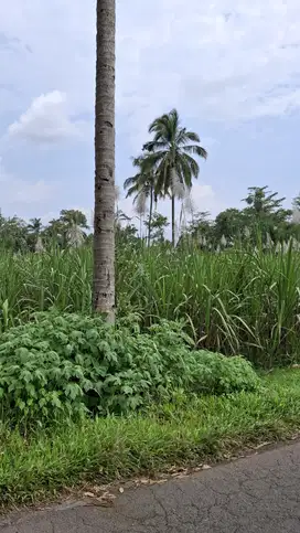 Dijual Tanah Murah Dekat Kota Malang  / Wisata Bromo Semeru