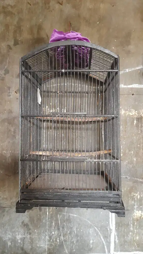 kandang kenari bekas