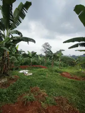 Tanah Area Berkembang di Bogor, LT 6800m², Siap Bangun