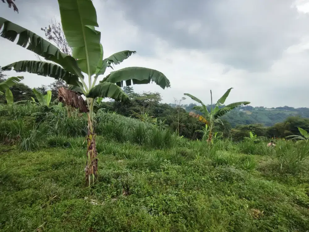 TANAH MURAH  SHM DI Bogor, LT 6800m², Siap Bangun