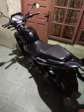 Honda Tiger 2008