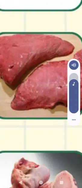 Daging paru segar