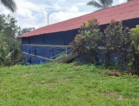 Dijual tanah sudah berisi bangunan kandang ayam