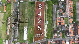 Commercial Land Batu Belig Seminyak Kerobokan Bali