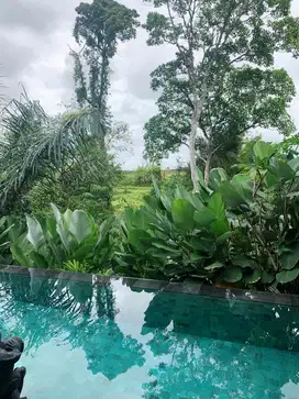 Monthly Villa : 2 BEDROOM VILLA WITH JUNGLE, RIVER and RICEFIELD VIEW