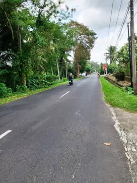 Tanah Kavling SHM 165 m2 dan 182 m2 View Sawah di Tabanan - Bali