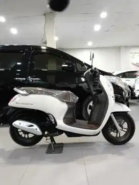 Scoopy prestige 2024 dp minim