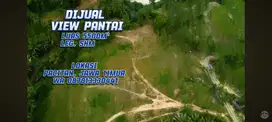 Dijual Tanah view Samudera Luas 5500m² Harga 200rb/m Lokasi Pacitan