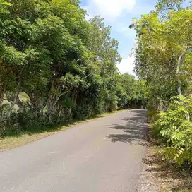 DIJUAL TANAH KOMERSIAL, BINGIN, ULUWATU, KUTA SELATAN