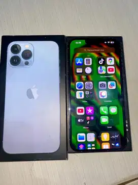 Iphone 13 pro max 256