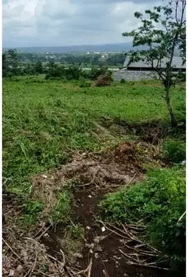 Kavling Yonkav Singosari Malang