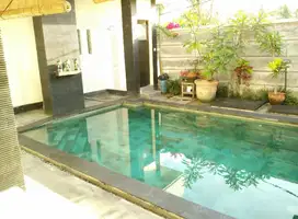 Villa view sawah dekat Ubud Center Bali