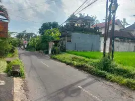 dijual tanah komersil dekat puri ubud gianyar