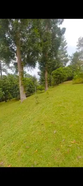 Tanah dijual puncak View indah 5090m²(1.7jt)Tugu Sltn Cisarua Bogor
