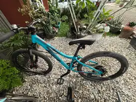 Sepeda Polygon Relic 24