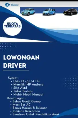 Driver taxi Blue Bird group