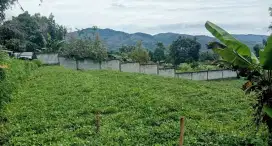 Jual Tanah Murah dan Luas Pinggir jalan desa area cimaung