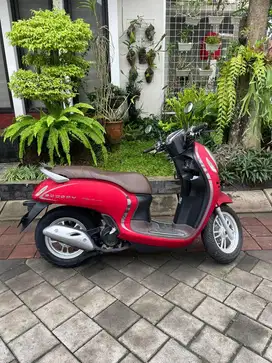 Scoopy an. Sendiri km 1000 km