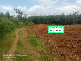 Jual tanah kebun murah dan sangat strategis