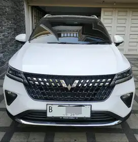 Wuling Alvez 2023 EX