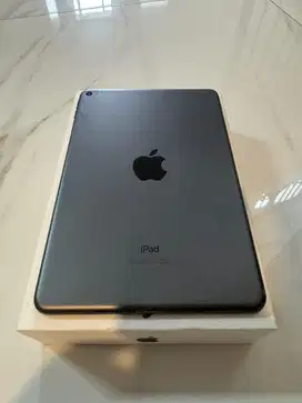 Ipad Mini 5 Only Wifi