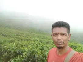 Saya mencari kerjaan driver pribadi SIM A ,mobil apa aja bisa