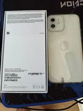 Iphone 12 64gb Putih Normal 100%
