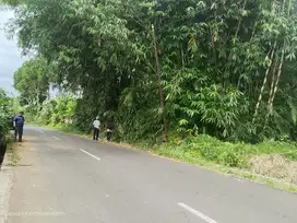 Tanah murah jalan Baturaden timur akses luas view gunung Slamet