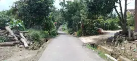 tanah 300 meter dekat taman kelinci kemiling