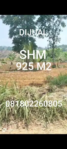 Di Jual Tanah Pekarangan