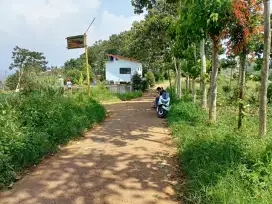 Jual Tanah Luas dan Murah Pinggir jalan desa Area Ciwidey