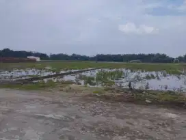 Bagus Dibuat Gudang Di Parangjoro Sukoharjo