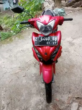 Jupiter mx new bebek