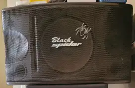 Speaker Black spider