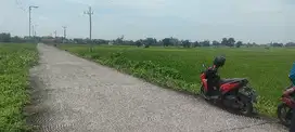 lahan industri kemlagi murah