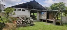 Jual kebun jagung, sawah Kandang sapi dekat curug cigamea pamijahan