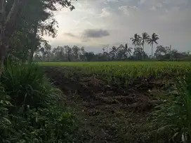 Tanah Murah di Dekat Pakis Kab Malang