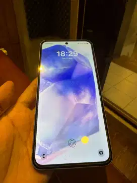 Galaxy A55 8/256