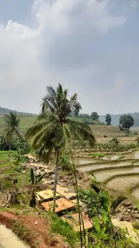 Tanah villa bisa bangun rumah permanen view pesawahan
