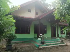 Rumah murah meriah