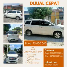 Chevrolet Spin 2013 Bensin