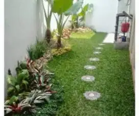 Jasa pasang rumput dan dekorasi taman