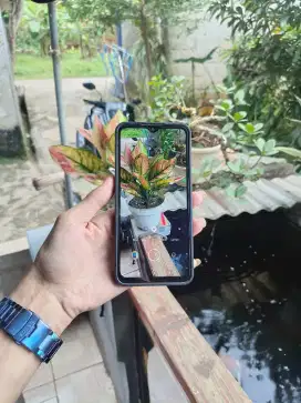 Redmi 9 4+1/64GB
