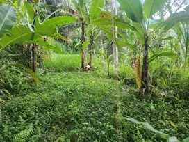 Tanah los sungai dan view jungle, akses jalan 4 meter di Ubud