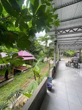 Rumah usaha poros provinsi