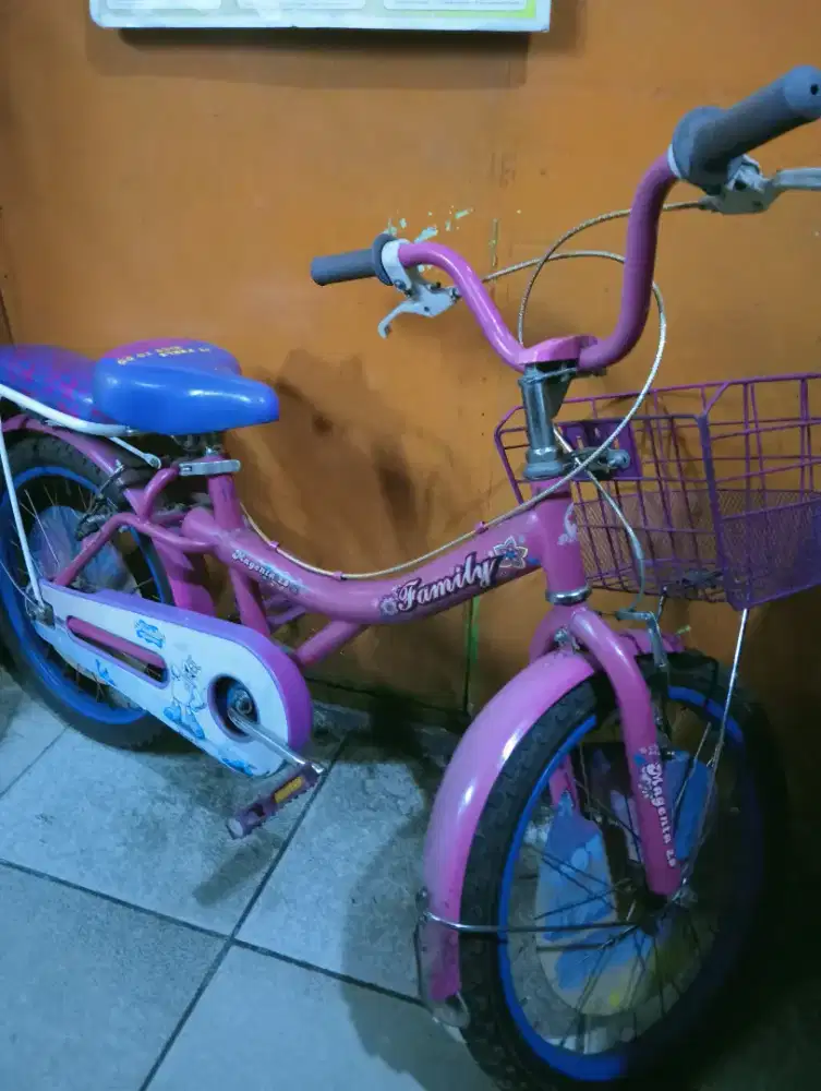Sepeda anak perempuan
